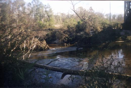 Black Creek at Brooklyn