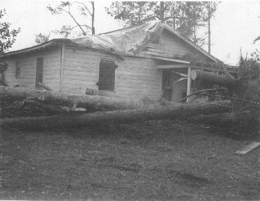 Frederick damage